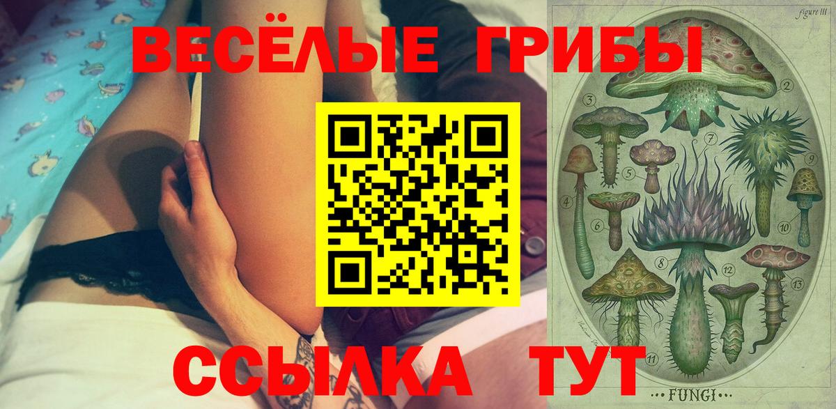 Галлюциногенные грибы Cubensis  Вход с VPN  Мегион 